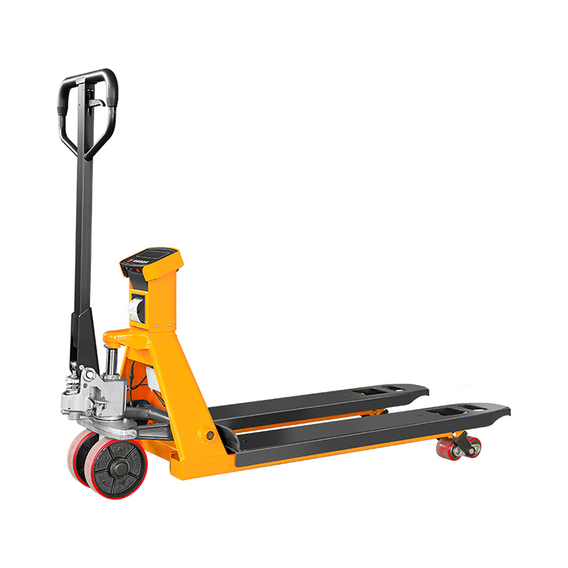 S20 manual appendens grabatum salsissimus