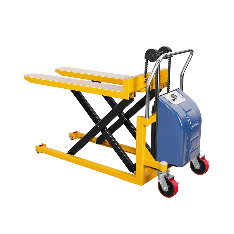 Electric princeps levare salsissimus EGSD10