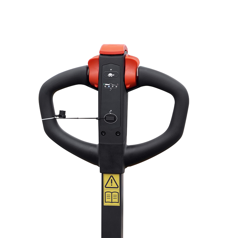 Electric appendens grabatum salsissimus CBD-C Electric appendens grabatum salsissimus CBD-C