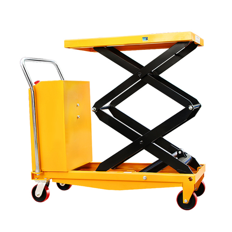 Electric levare platform salsissimus